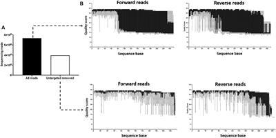 The microbiome of the pregnant uterus in Holstein dairy heifers and cows assessed by bacterial culture and 16S ribosomal RNA gene sequencing